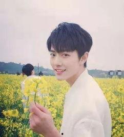 娱记爆料杨紫肖战视频,幕后真相引网友热议 第1张 娱记爆料杨紫肖战视频,幕后真相引网友热议 第1张